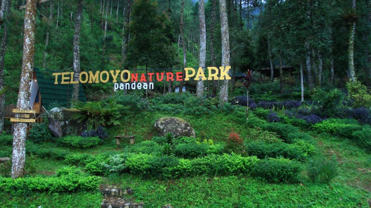 Telomoyo Nature Park: Petualangan Alam di Lereng Merapi